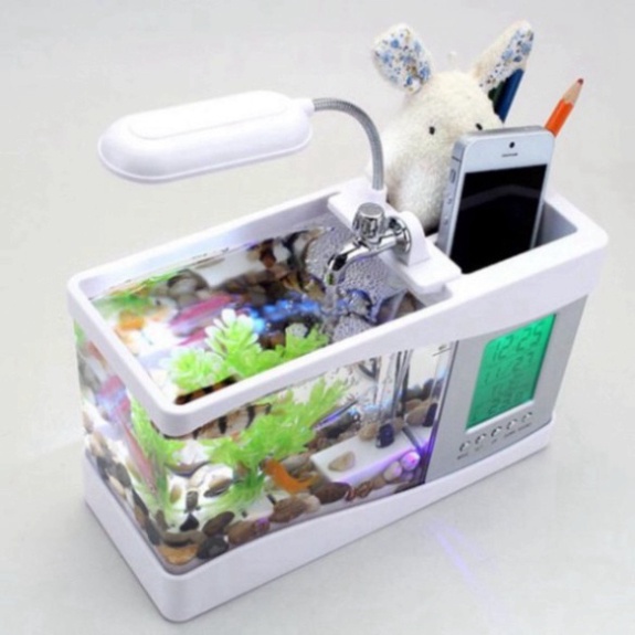 Bể Cá kiêm đồng hồ để bàn