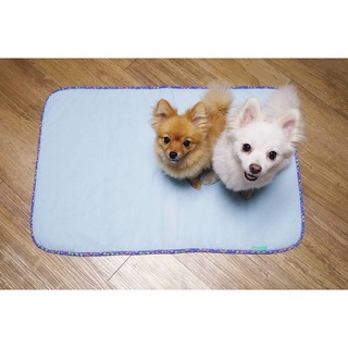 Thảm thú cưng mùa hè - DoggyMan