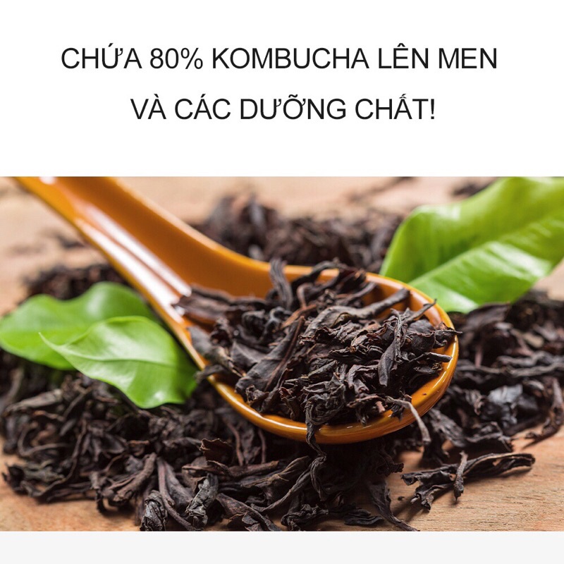 Nước Cân Bằng KOMBUCHA 80% TREATMENT
