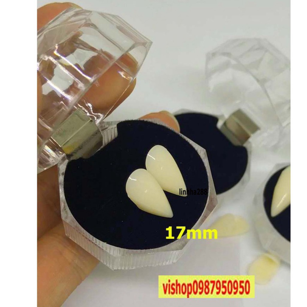 RĂNG NANH- RĂNG KHỂNH GIẢ SỨ KÈM KEO GẮN