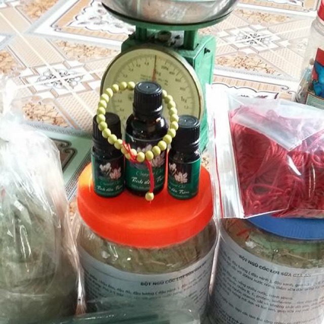 Combo 10 Gối lá đinh lăng