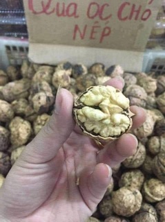 Óc Chó nếp loại 1 500g