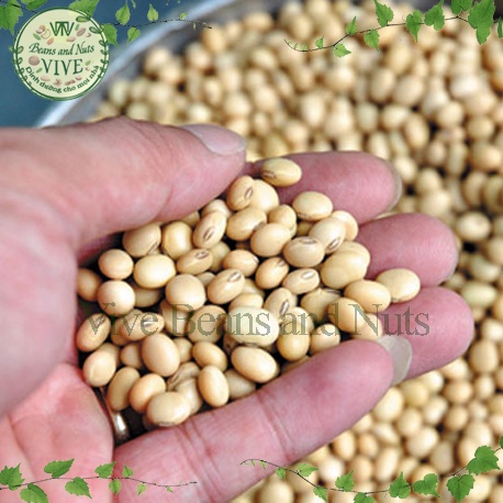 Đậu Nành túi 1kg hút chân không