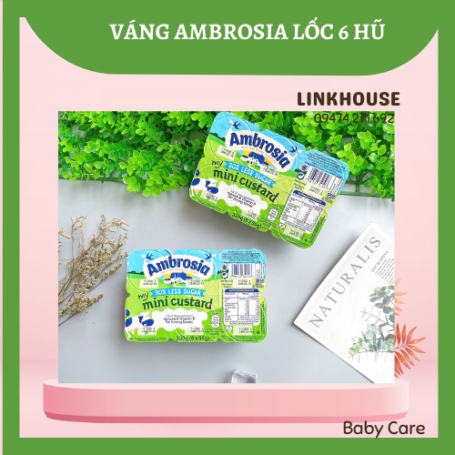 Đồ Ăn Dặm Cho Bé 6m+, Sữa Chua, Váng Sữa, Hoa Quả Nghiền