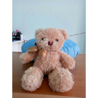 Gấu bông Teddy