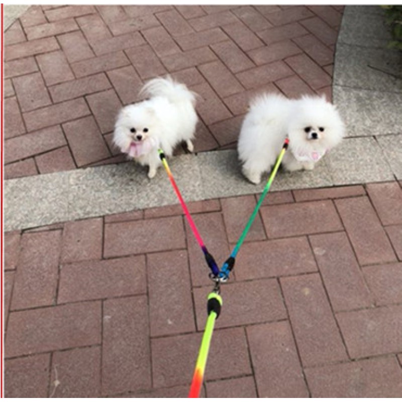 BỘ DÂY DẮT CHÓ MÈO 2 ĐẦU KÈM YẾM BẢY SẮC CẦU VỒNG - LOVE PETS SHOP