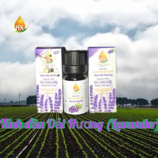 Tình Dầu Hoa Oải Hương (Lavender) Pháp
