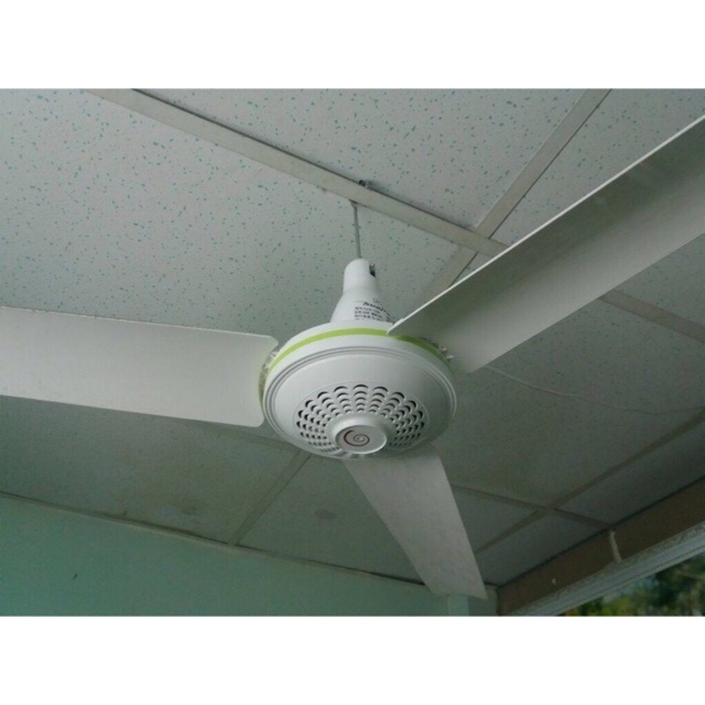 Quạt trần ba cánh