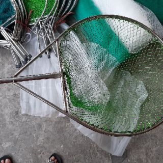 Vợt , ốc ,gà, ếch , vvv