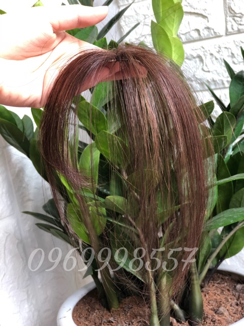 Mái Thưa 3D Tóc Thật 100% ❤️ Có Da Đầu Loại Dài Đẹp - Full Box ❤️