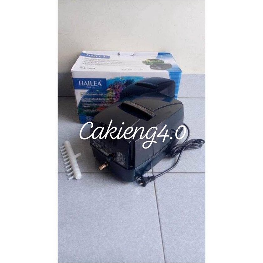 Máy sủi khí oxy tích điện Hailea CP- 60 dùng cho hồ cá koi