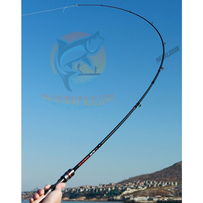 Cần câu lure 2 khúc Shadow for the win 2 ngọn M và ML chất liệu carbon cao cấp