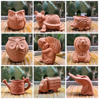 Chậu đất nung trồng cây