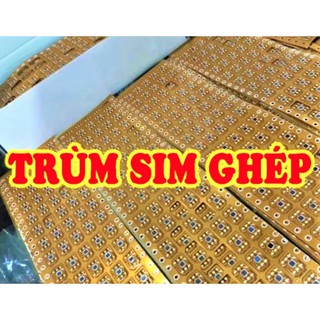 Sim Ghép Thần Thánh Giá Sỉ, Tặng Cây Chọt Sim