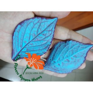 Gân Lá Tú Cầu 7cm
