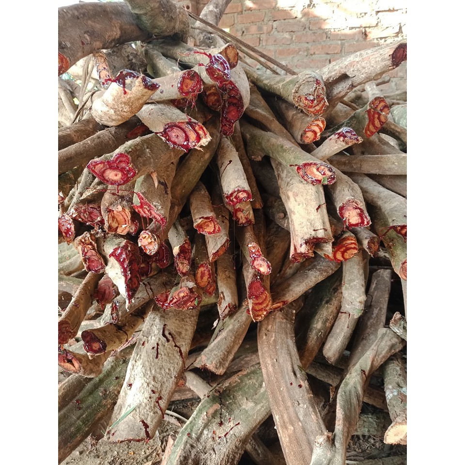 Cây Huyết Đằng Cây Bổ Máu Khô 1kg