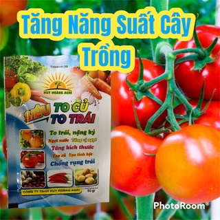 Phân bón Siêu To Trái, To củ 50gr