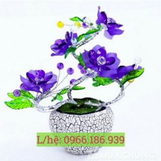 Bộ combo hoa lan và hoa mai pha lê