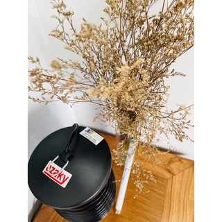 Đèn bắt muỗi - Đèn diệt côn trùng AZ06