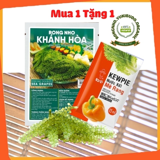 COMBO 1 Gói Rong Nho Tách Nước KHÁNH HÒA SEA GRAPES 25G + 1 Gói Xốt Mè Rang KEWPIE 15ml | BigBuy360 - bigbuy360.vn