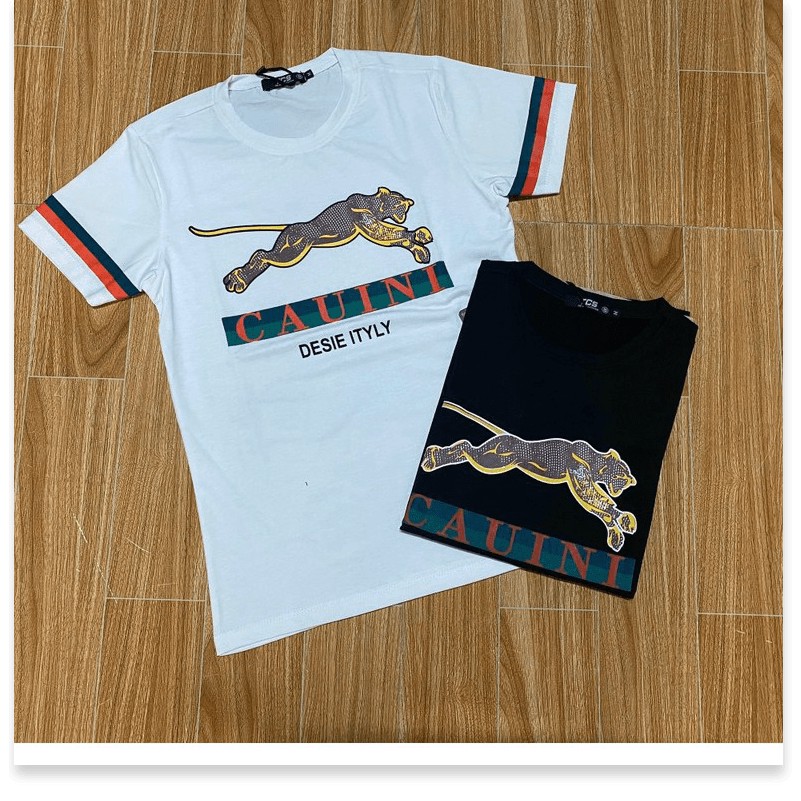 Áo Thun Nam Cao Cấp Chất Cotton SIêu Mát HP