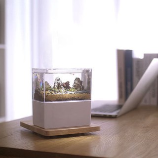 Bể cá mini thủy sinh để bàn làm việc