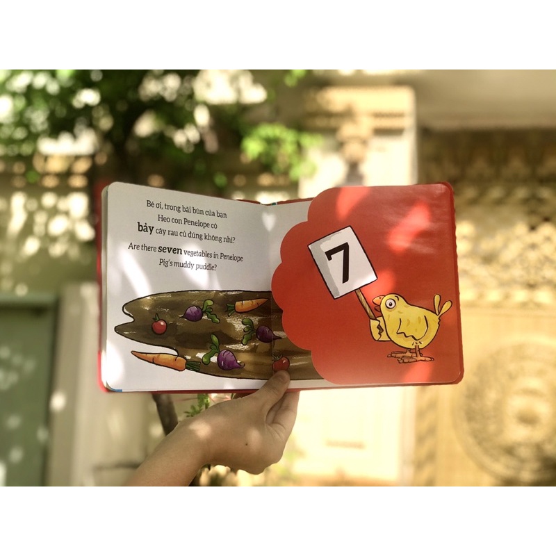 Sách-Tương tác lật mở - Số đếm - Counting