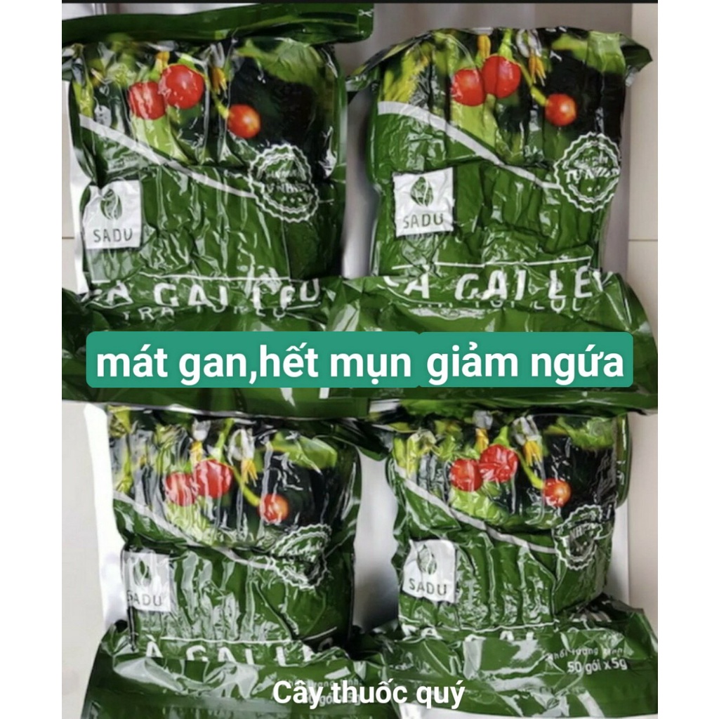 1kg gồm 4 bịch 250g trà cà gai leo túi lọc mát gan thải độc gan