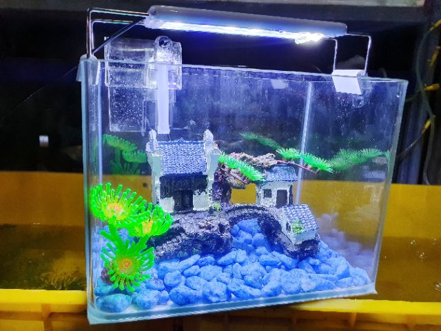 COMBO HỒ CÁ TRANG TRÍ SẴN 26x17x19cm 920