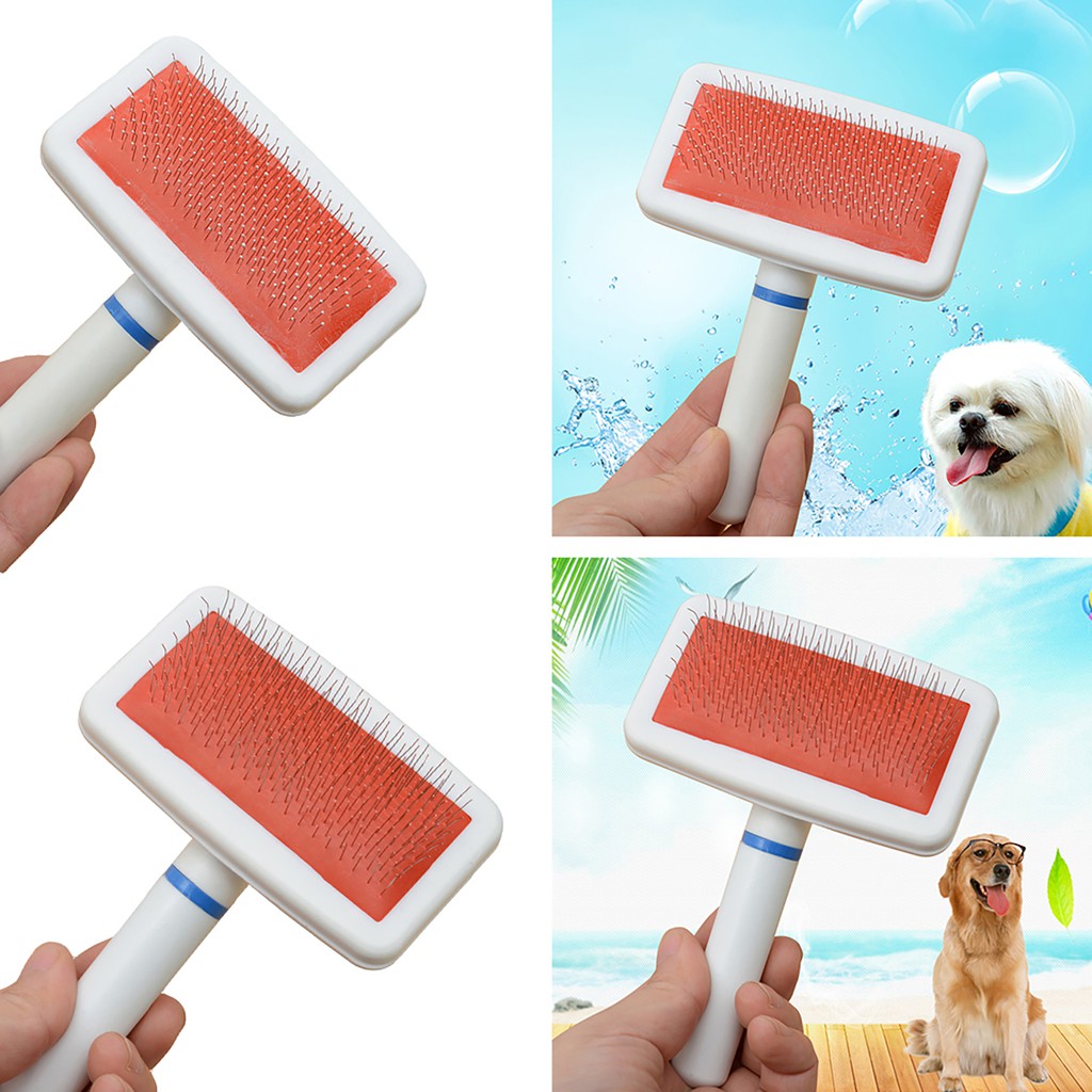 Lược chải lông cho thú cưng tiện dụng