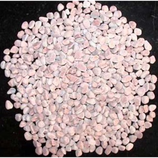 Sỏi trắng mini trang trí sen 100gr
