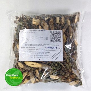 Cây An Xoa Chữa Bệnh Gan