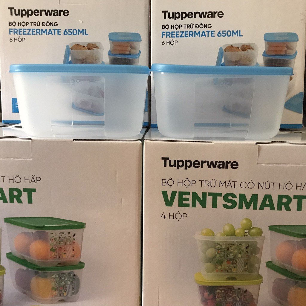 Tupperware &lt;3 Hộp Trữ Đông Freezermate 650ml (2 Hộp)