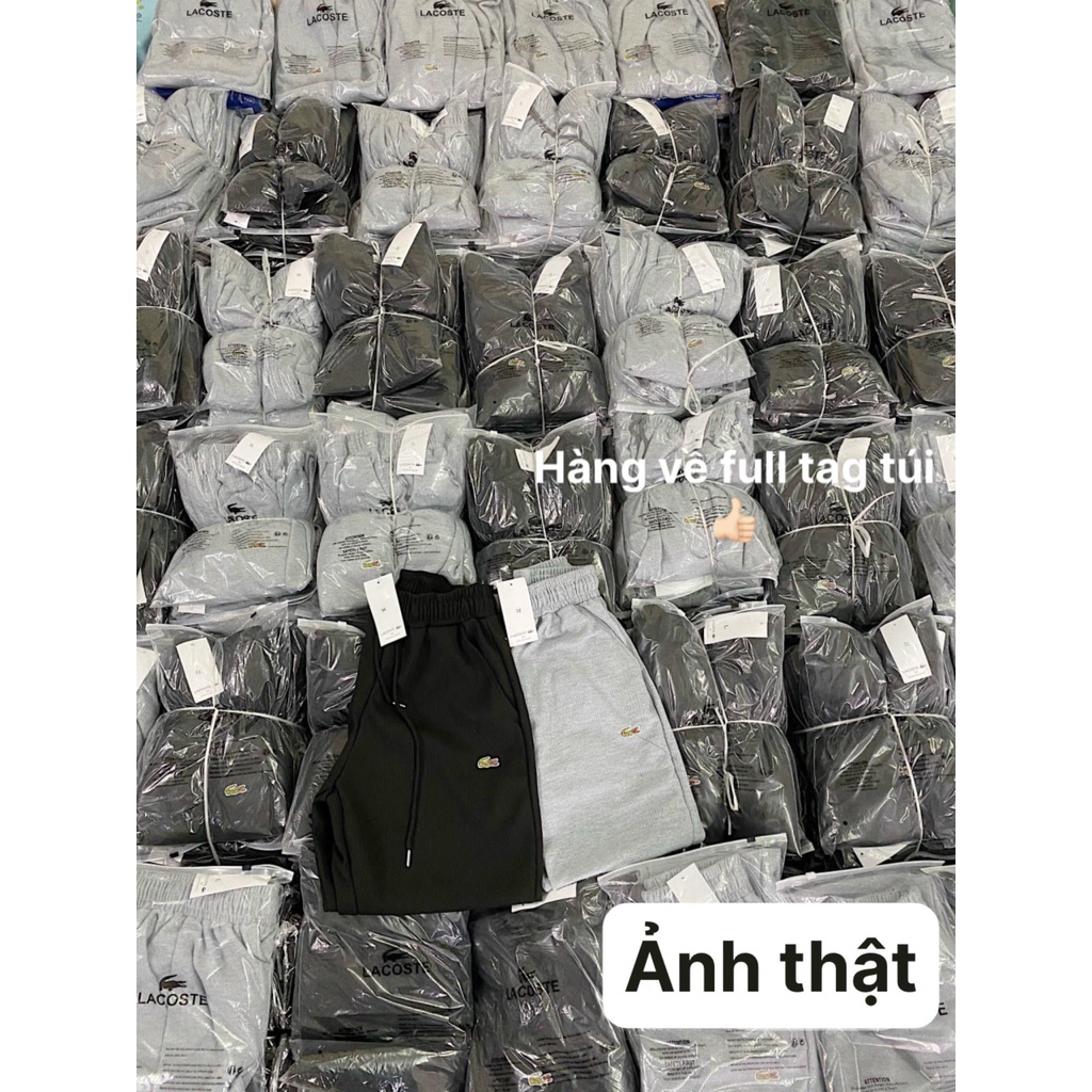 Quần dài nam jogger lacos thêu cá sấu chất tổ ong hàng VN xuất sịn