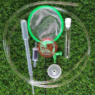 Bộ ấp artemia