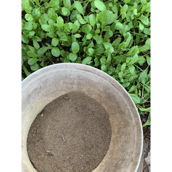 phân gà ủ hoai khô