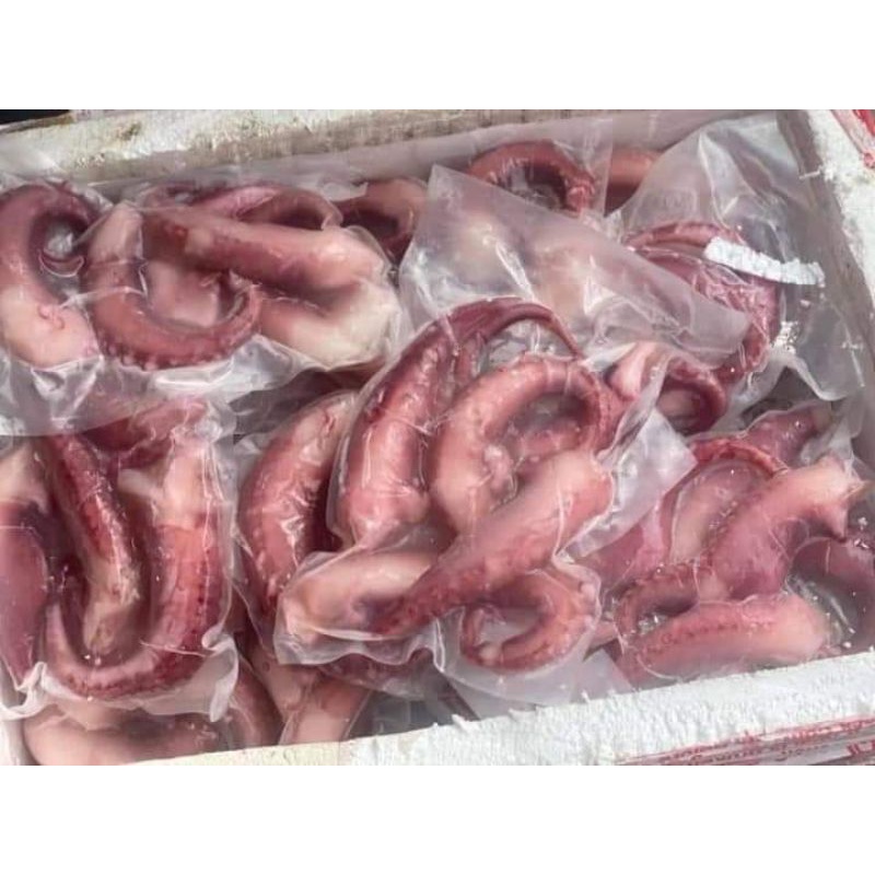 Râu Bạch Tuột khổng lồ hàng Net (Ship nhanh ở SG)