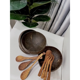 COMBO Chén muỗng Gáo Dừa 12-15cm