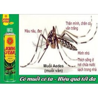Xịt Muỗi Diệt Côn Trùng King Star 600ml