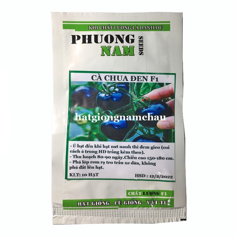 10H - HẠT GIỐNG CÀ CHUA BI ĐEN - Chuẩn F1 100%