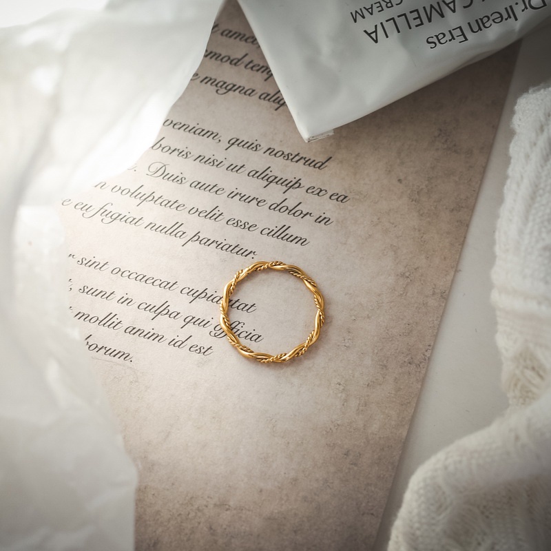 Nhẫn nữ titan 2 vòng trơn xoắn đan xen không gỉ WR2204