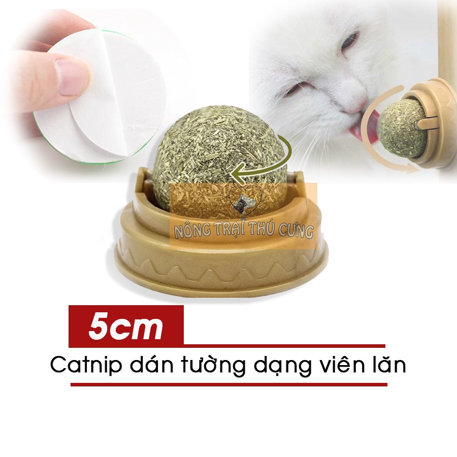 Cục Cỏ Bạc Hà Catnip Dán Tường Cho Mèo