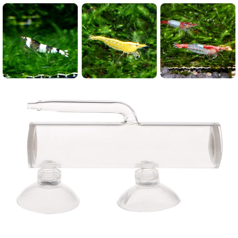 Bộ Dụng Cụ Ấp Trứng / Tôm Biển DIY