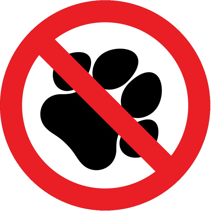 Hình dán Sticker decal NO SMOKING, hình dán CẤM HÚT THƯỚC, NO PET, NO CAMERA, CẤM CHỤP ẢNH