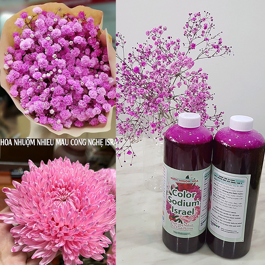 Nước Màu Nhuộm Hoa Tươi (Chai 1 Lít) Công Nghệ Israel giúp đổi màu hoa cắt cành thành 10 màu tại Chợ,Shop hoa tại nhà.