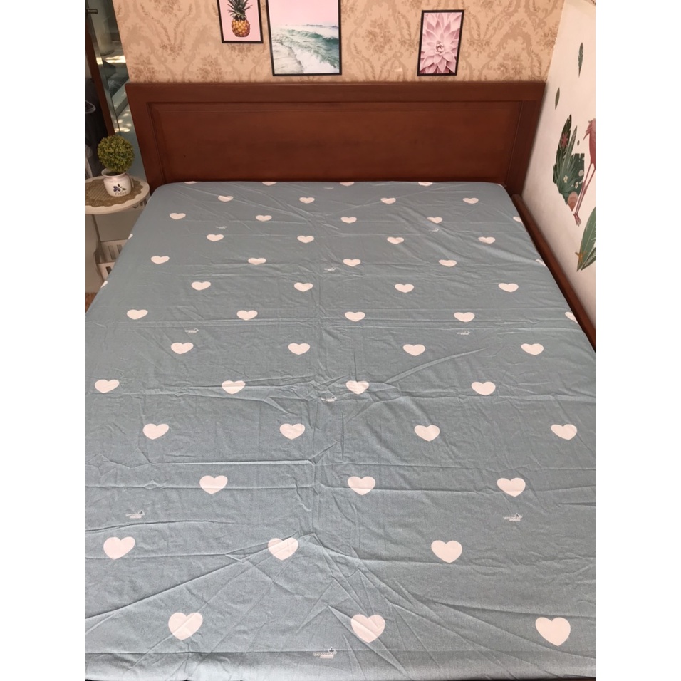 Ga lẻ 1,8m 100% coton thắng lợi