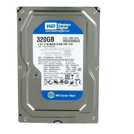 Ổ Cứng Wd Blue 320gb 3.5 Inch 1 Năm Chất Lượng Cao | BigBuy360 - bigbuy360.vn