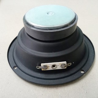 Bộ 2 loa Mid rời 10 - Mid 10