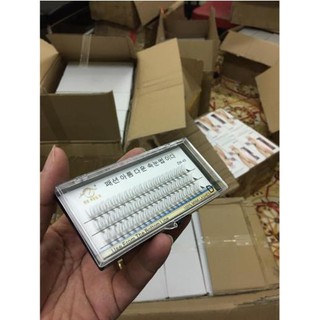 1 khay mi chùm trắng nối mi