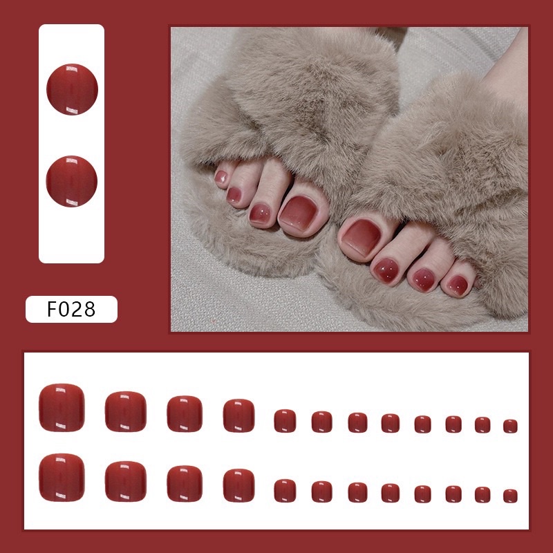 Móng chân giả D&P hộp 24 móng NAIL BOX